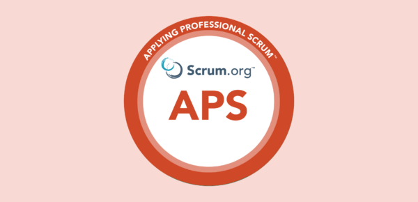 Applying Professional Scrum (APS)