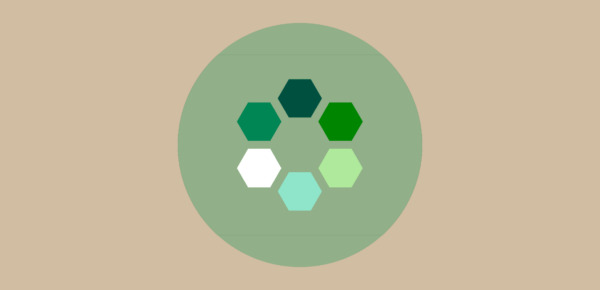 Eco Design of Digital Services - Green IT