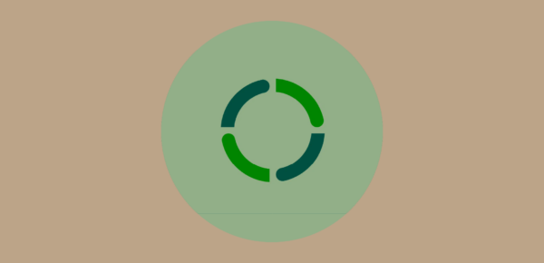 Analysis of The Life Cycle Principles - Green IT